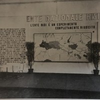 L’ente risi è un esperimento completamente riuscito, foto del padiglione dell’ente allestito durante la VI Fiera nazionale dell’agricoltura, in «Bologna. Rivista mensile del Comune», n. 4, aprile 1937.