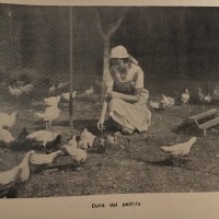 Cura del pollaio, foto in Fasci femminili di Genova, Sezione Massaie rurali, La massaia rurale genovese in regime sanzionista, Genova, 1935.