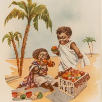 Etichette delle ditte di produzione e commercio di frutta e conserve alimentari di Massa Lombarda