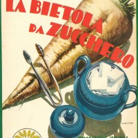Ottavio Munerati, La bietola da zucchero, Piacenza, Federazione italiana dei consorzi agrari, 1932. 