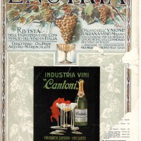 Copertina rivista “Enotria” con la pubblicità dell’Industria Vini Cantoni, Imola (gennaio 1924)