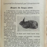 Aumentiamo l’allevamento dei conigli, in Agenda della massaia rurale, Roma, 1936.