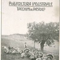 La copertina della “Italia agricola” del 15 dicembre 1918 dedicata all’allevamento dei tacchini.