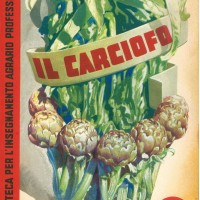 Carlo Rava, Il carciofo, Roma, Ramo editoriale degli agricoltori, 1940. 