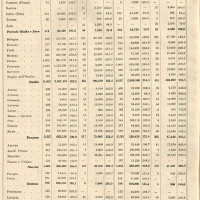 1937. Tabella sulla produzione di pomodoro nazionale (da Industria Conserve, rivista SSICA).