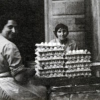 Sgusciatura delle uova manuale