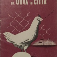 Ufficio propaganda Pnf, L’allevamento della gallina da uova in città, ca 1940. 
