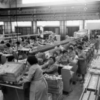 Donne intente alla lavorazione della frutta in stabilimento con adiacenti vagoni frigo per il trasporto merci [anni '70]. Cooperativa frutticoltori Massa Lombarda