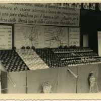 Stand espositivo della Cooperativa frutticoltori di Massa Lombarda inneggiante la pace [anni '70]. Cooperativa frutticoltori Massa Lombarda