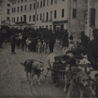 Cani da guerra che portano viveri e munizioni e trasportano feriti in alta montagna, in «L’Illustrazione italiana», n. 24, 16 giugno 1918, p. 472, Istituto per la storia e le memorie del '900 Parri E-R.