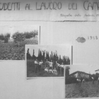 Studenti al lavoro dei campi, 1918, foto in Archivio storico dell’istituto «Pier Crescenzi», Bologna.